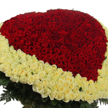 Сердце из 501 красной и белой розы в корзине